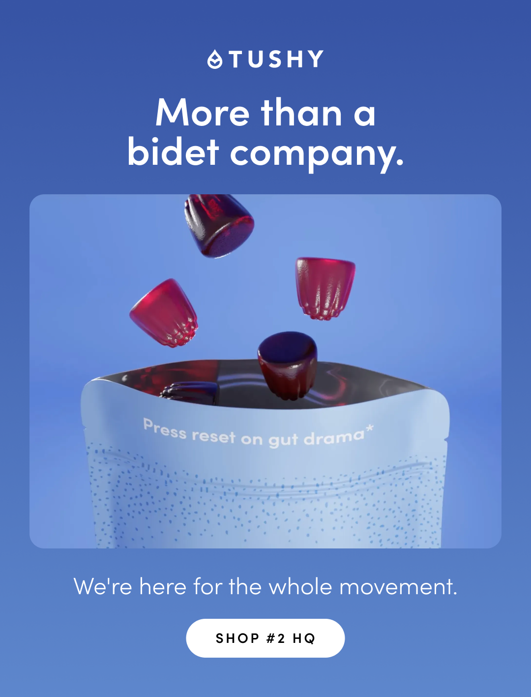 REBOOT FIBER GUMMIES