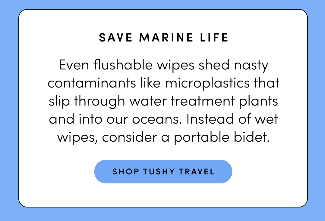 SHOP TUSHY TRAVEL SHOP TUSHY TRAVEL