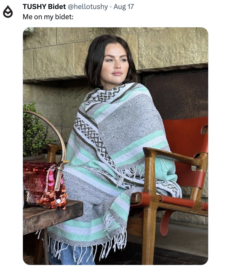 Electric vs. NonElectric Bidets Tushy