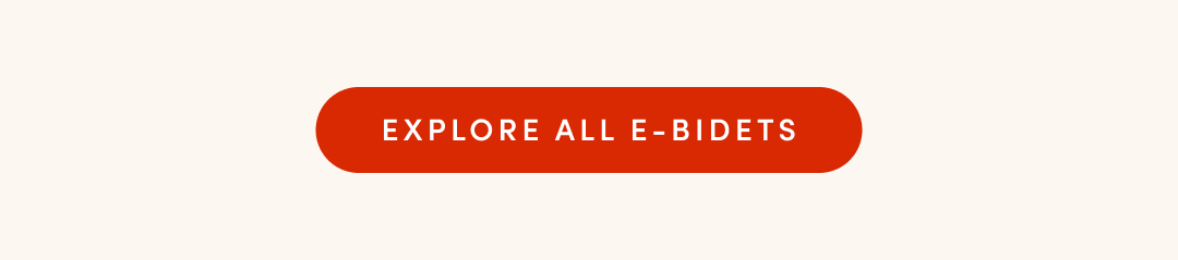 EXPLORE ALL E-BIDETS