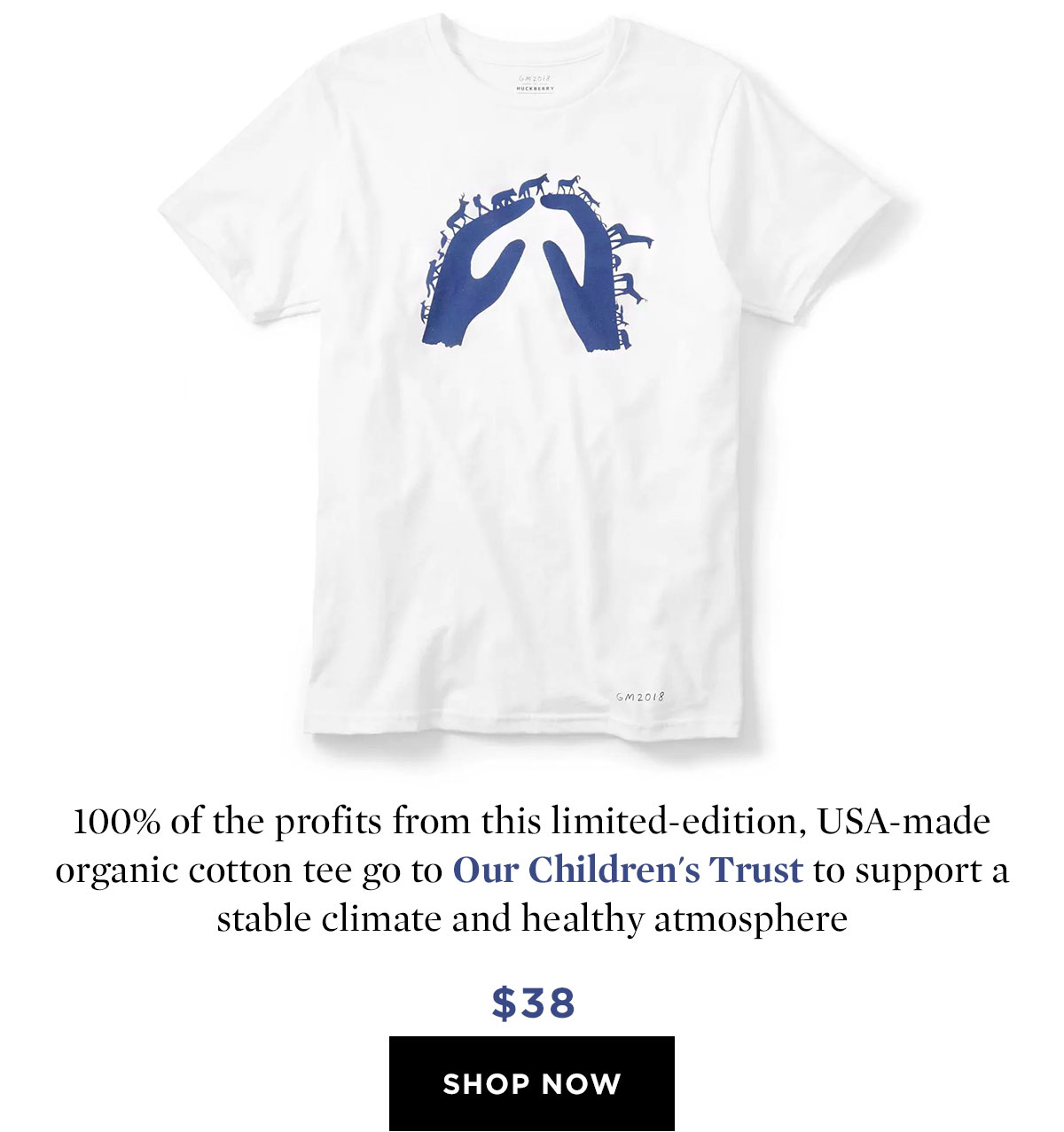 attenborough t shirt patagonia