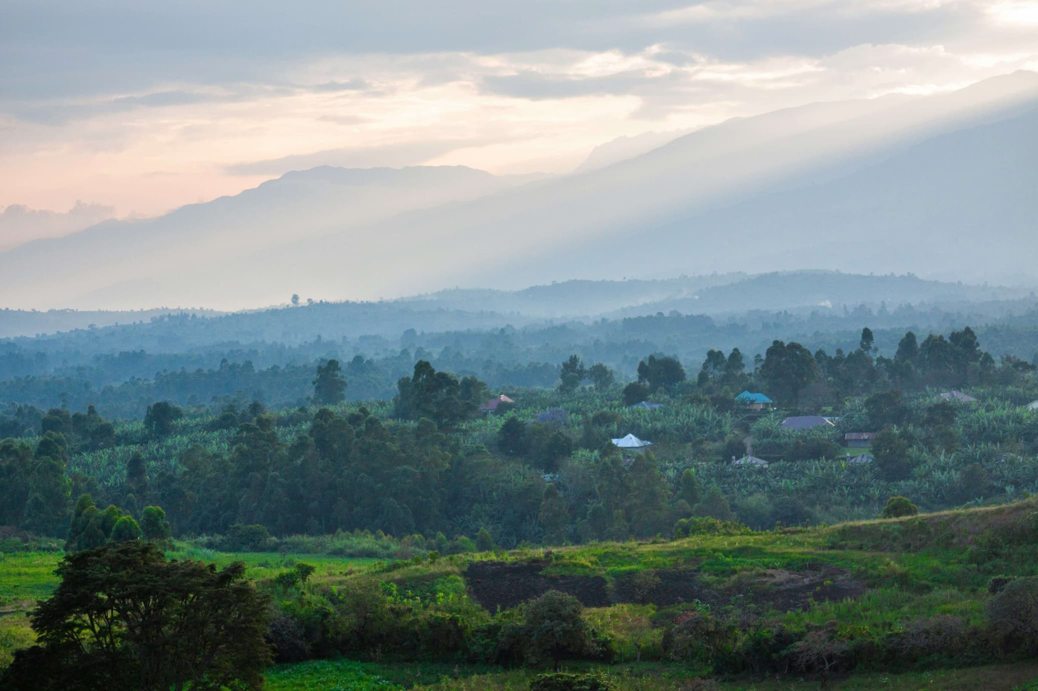 Lush green hillsides of Kasese, Uganda