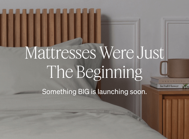 Mattresses Were Just The Beginning