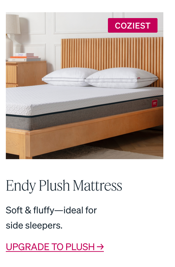 "COZIEST Endy Plush Mattress Soft & fluffy-ideal for side sleepers."