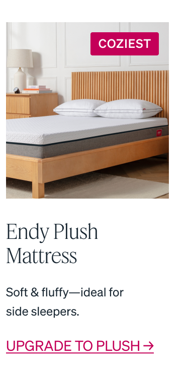 "COZIEST Endy Plush Mattress Soft & fluffy-ideal for side sleepers."