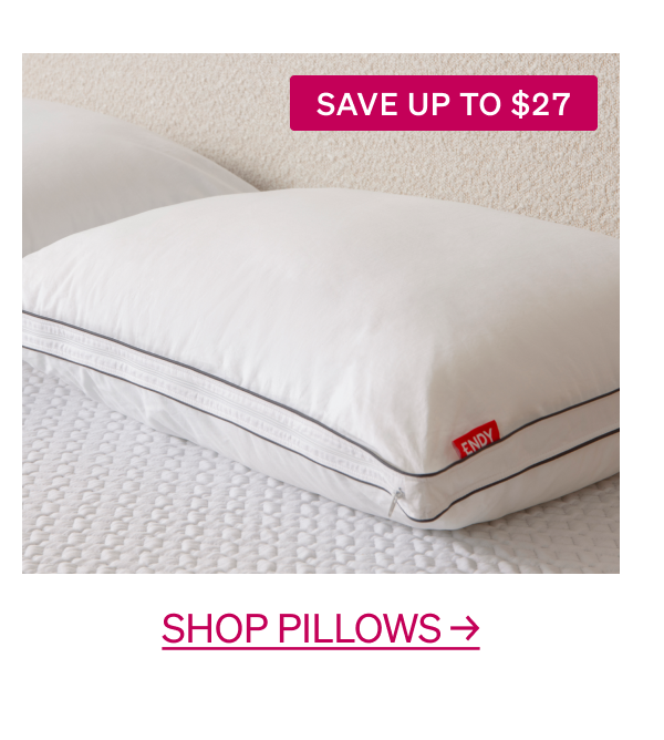 Shop Pillows →