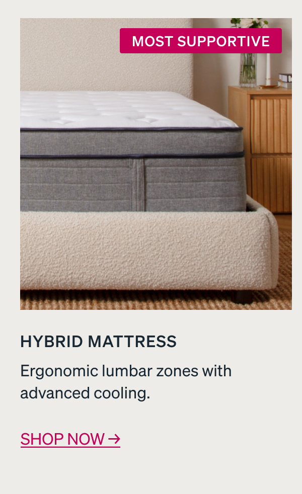    	 COZIEST Endy Plush Mattress