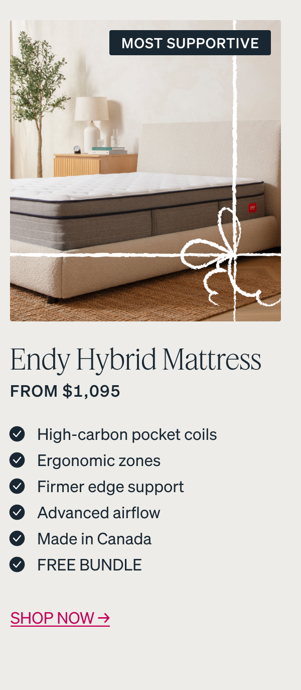 EXTRA SUPPORT The Endy Hybrid Mattress from $1,095 Shop & get a gift →