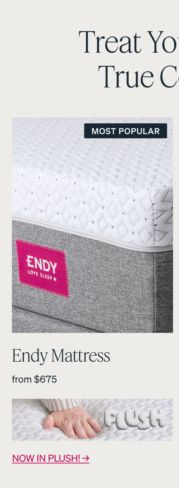 MOST POPULAR The Endy Mattress from $675