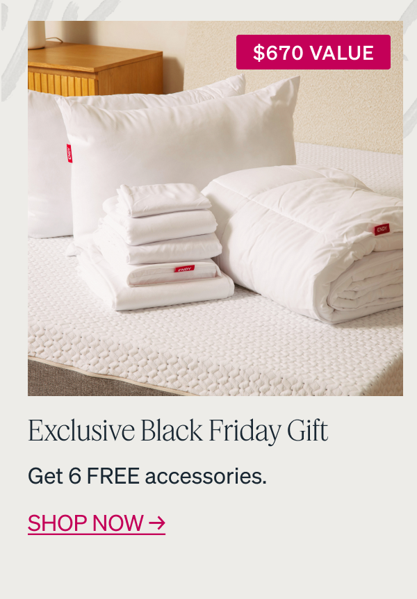 $670 VALUE Exclusive Black Friday Gift Get 6 FREE accessories.