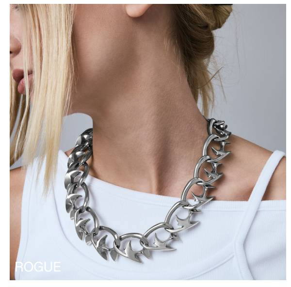 Shop Rogue