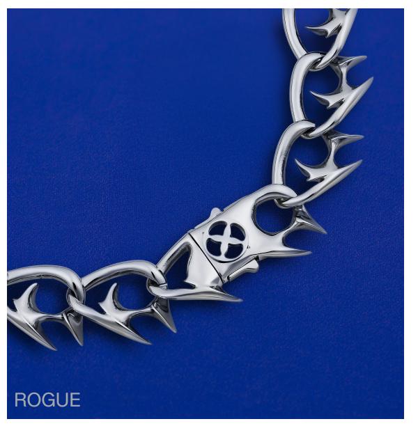 Shop Rogue