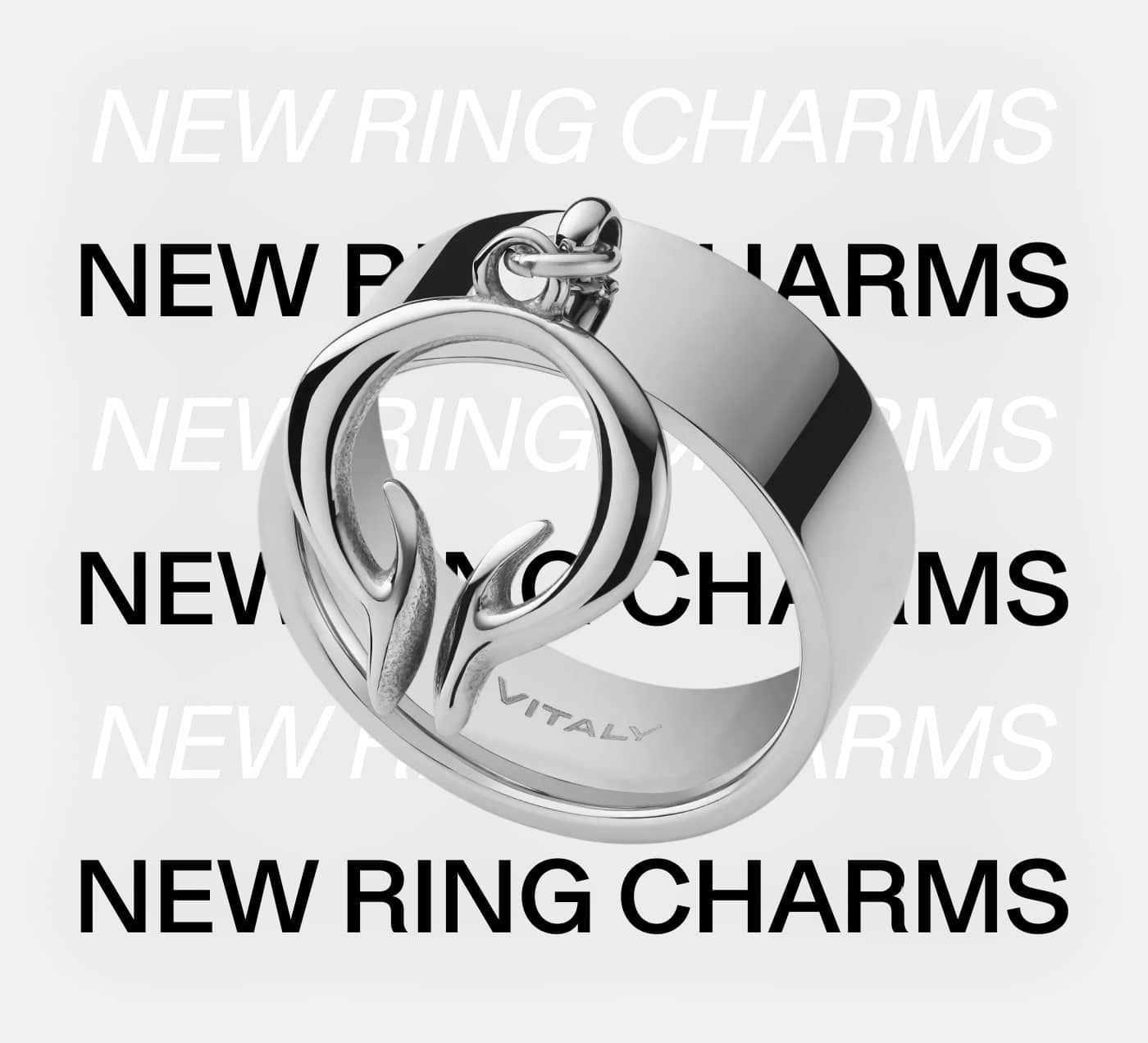 New Ring Charms