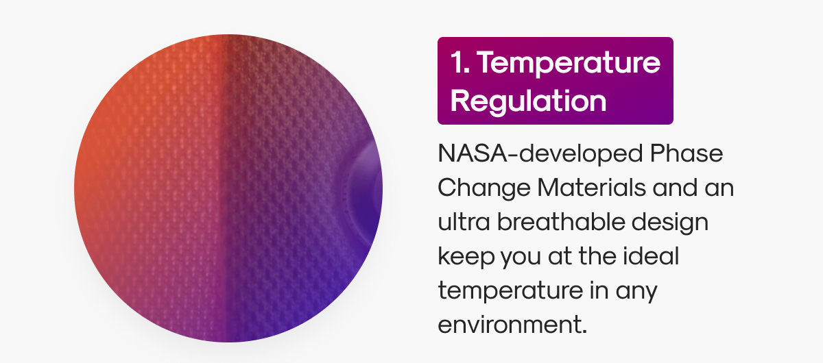 1. Temperature Regulation