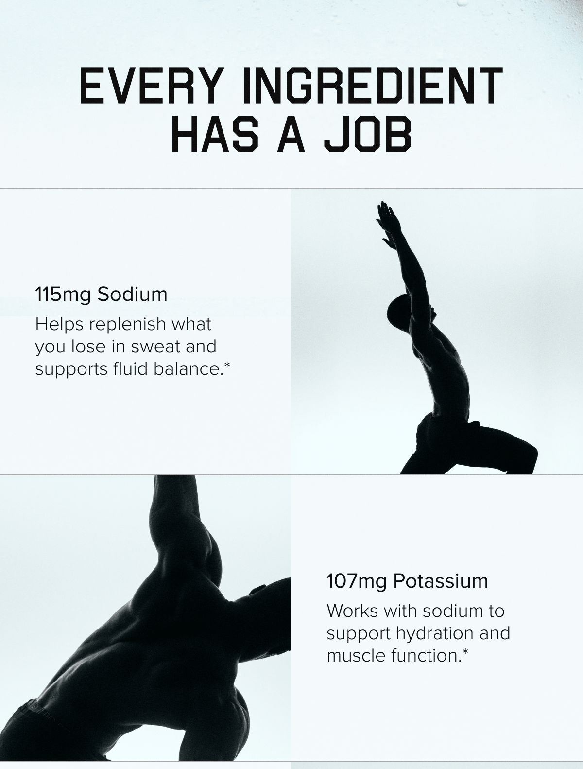 Every Ingredient Has a Job