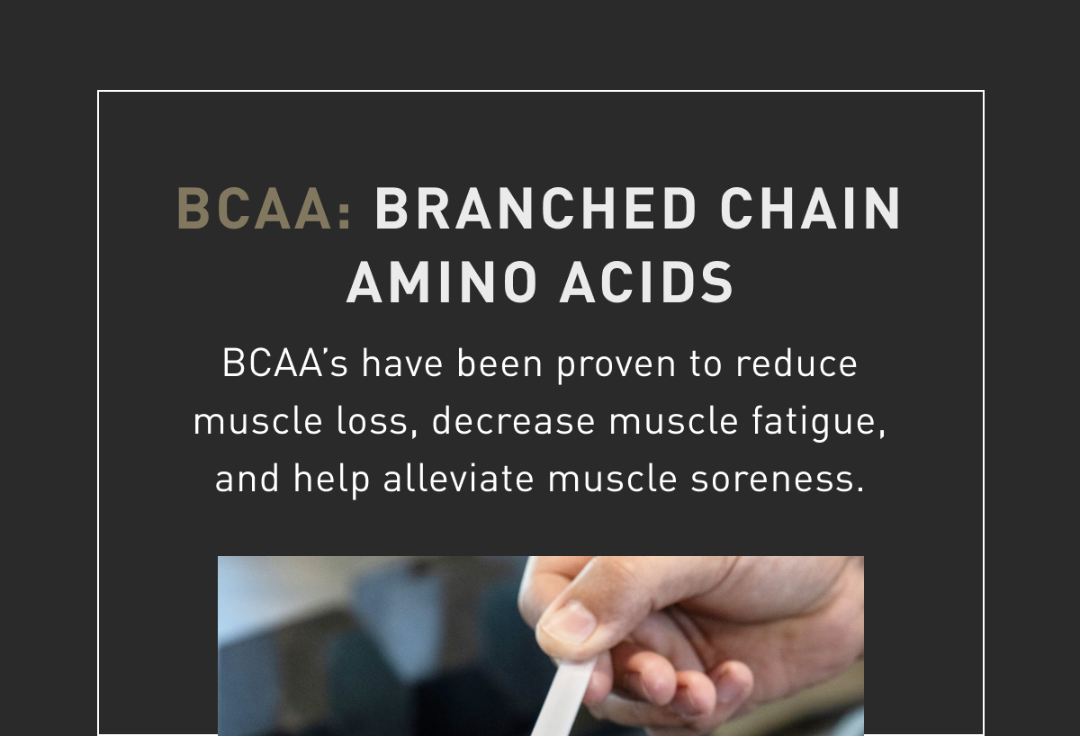What are BCAA’s? Kaged Muscle