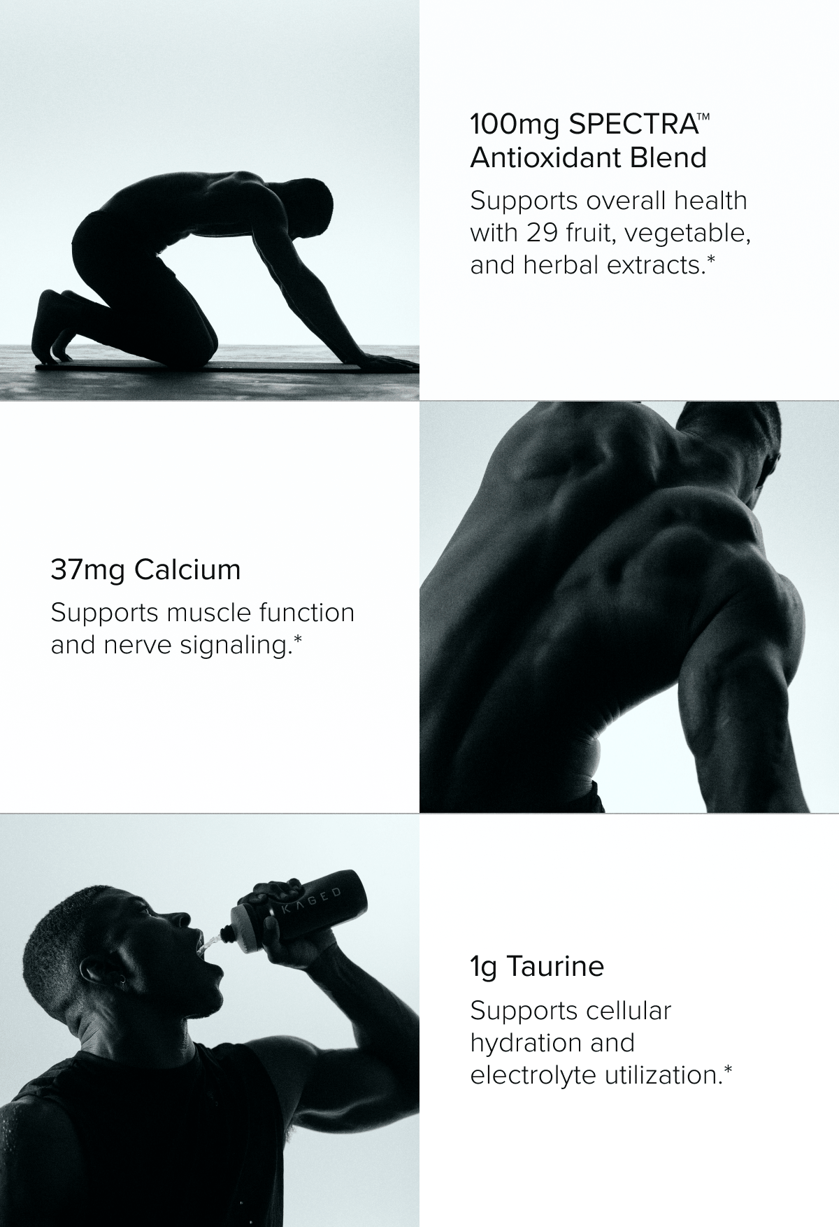 100mg SPECTRA™ Antioxidant Blend