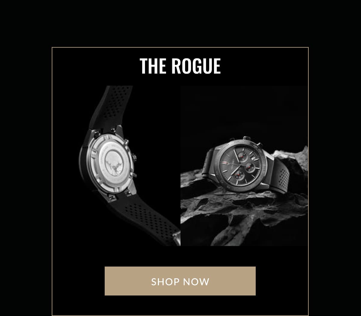THE ROGUE