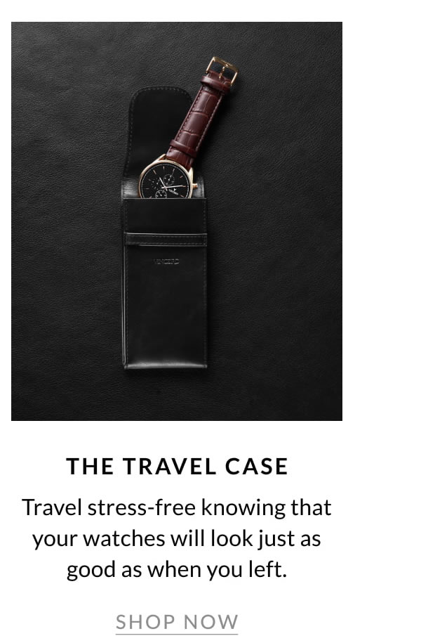 THE TRAVEL CASE