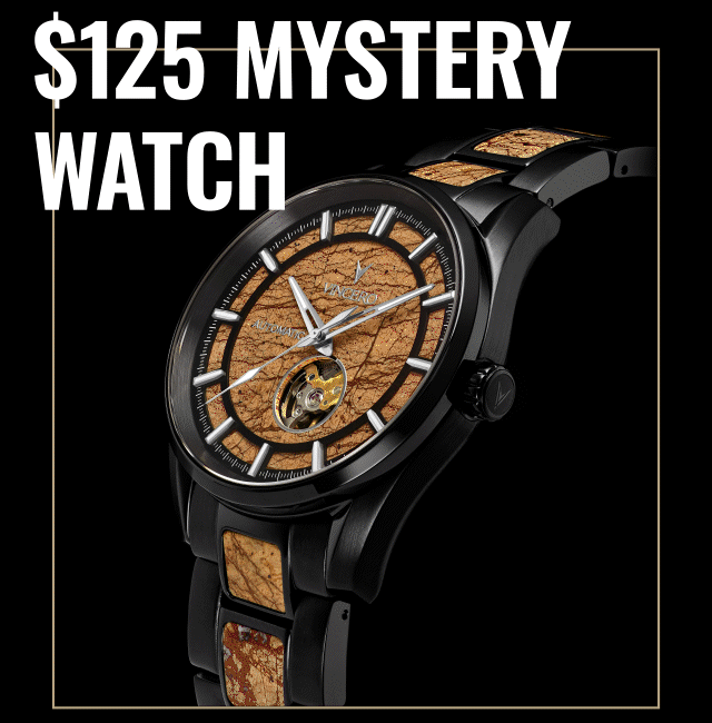 $125 MYSTERY WATCH 