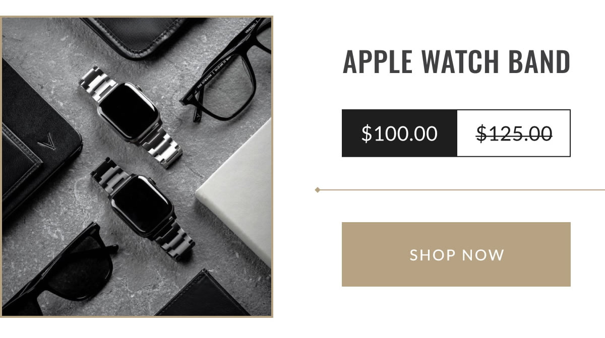 APPLE WATCH STEEL BAND