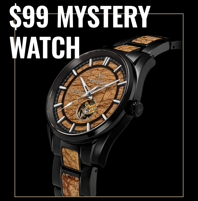 $100 Mystery Watch