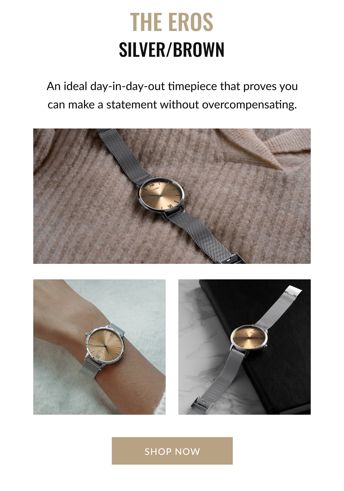 THE EROS SILVER/BROWN - An ideal day-in-day-out timepiece that proves you can make a statement without overcompensating.