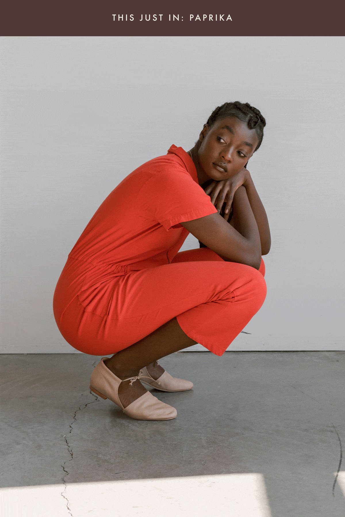 Paprika Animated Gif