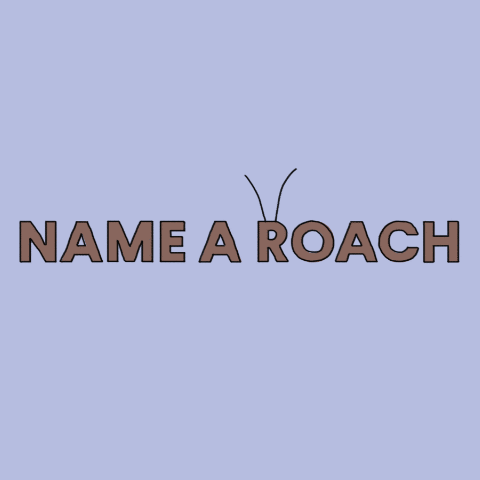 For Valentine’s Day, You Can Name A Cockroach After Your Ex
