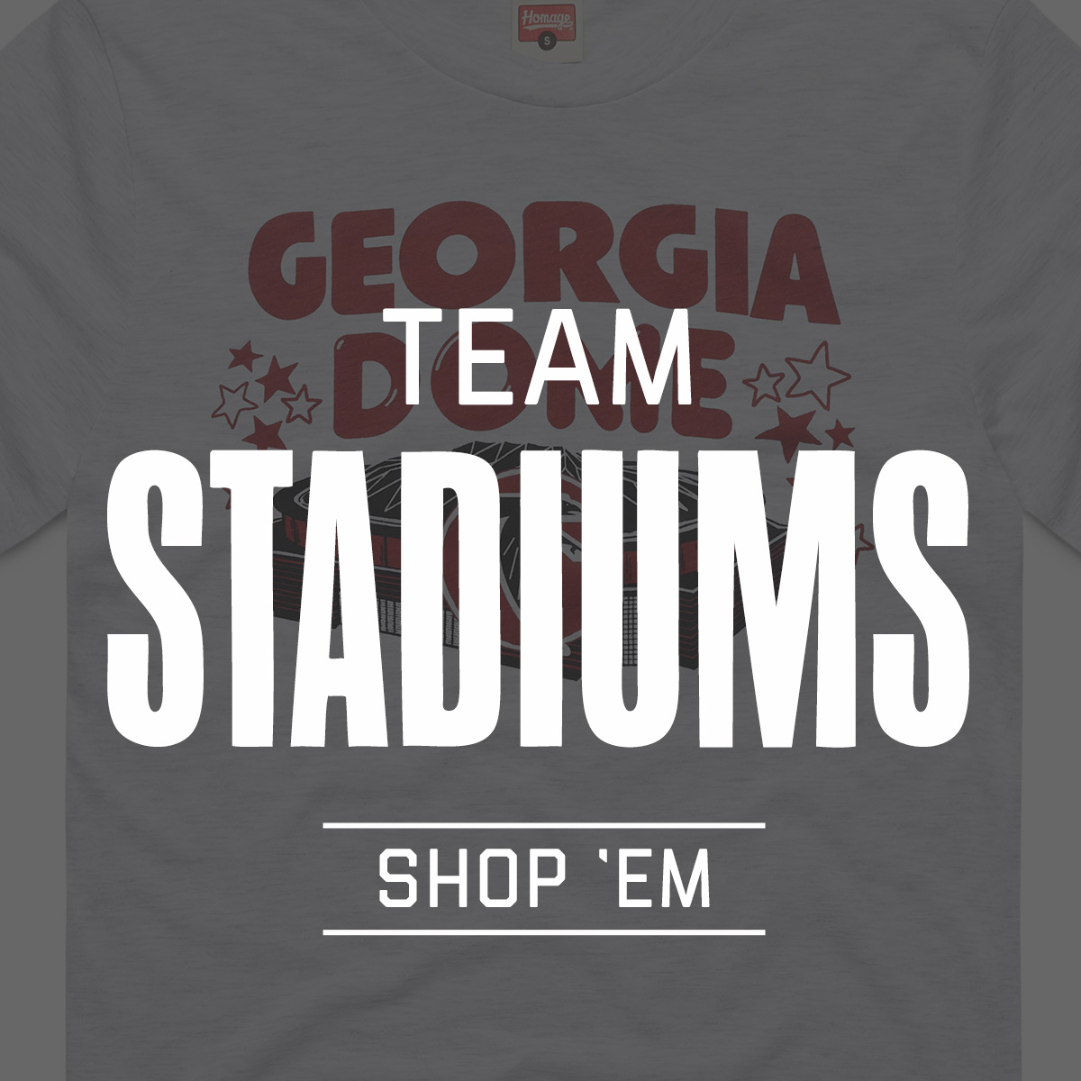 NFL Team Stadiums