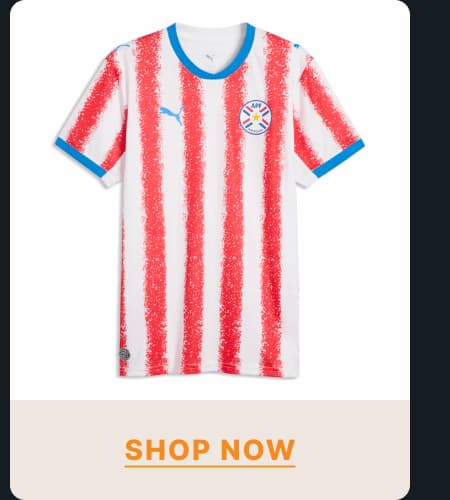 SHOP NOW