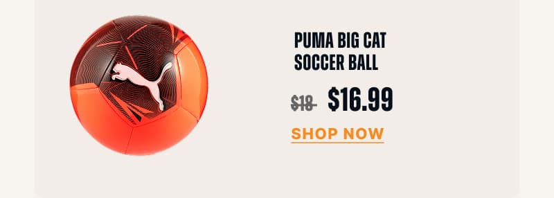 PUMA BIG CAT SOCCER BALL