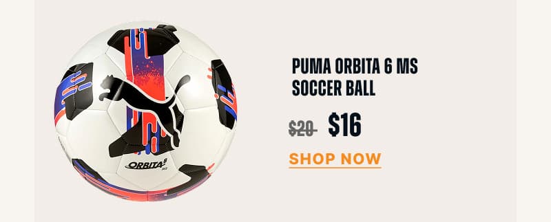 Puma Orbita 6 MS Soccer Ball