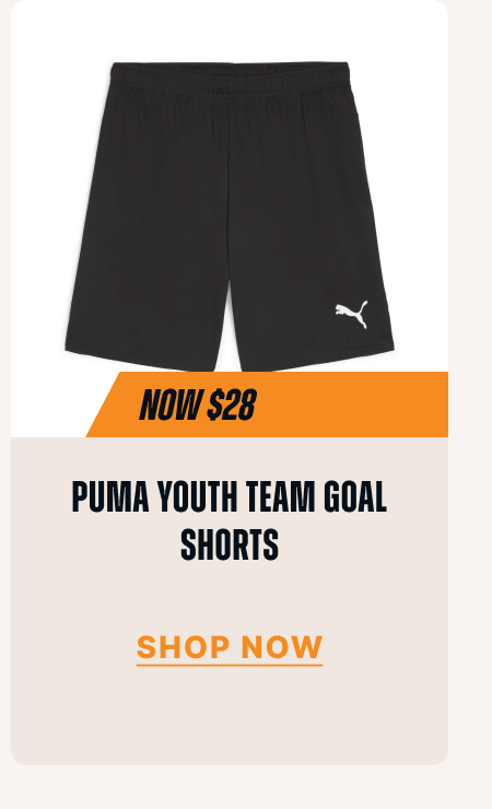 PUMA Youth TEAM GOAL SHORTS