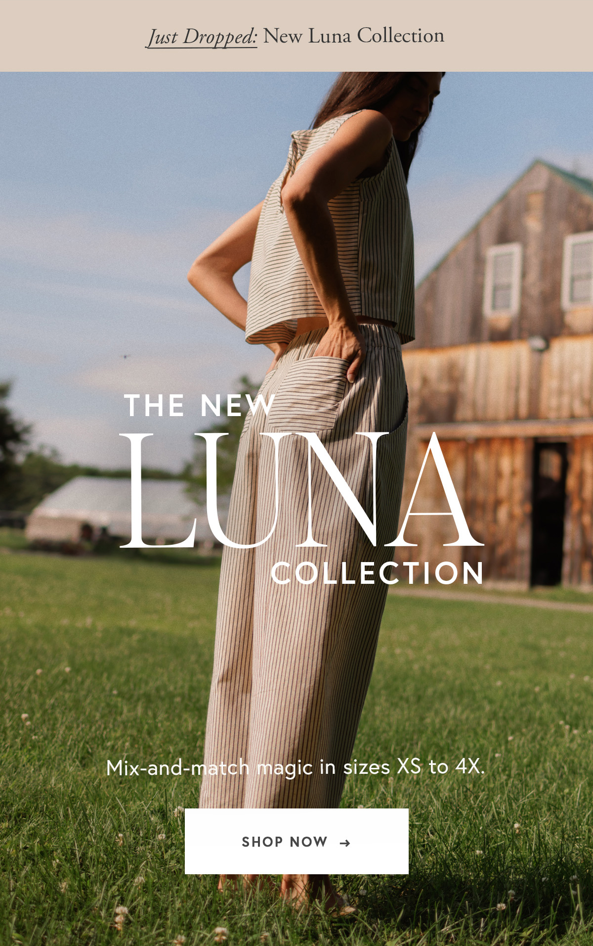 The New Luna Collection