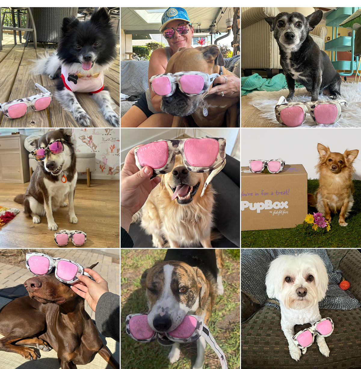 Newsletter content from diffeyewear