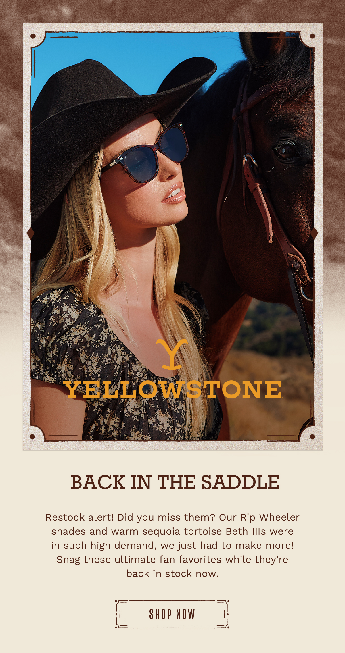 SHOP YELLOWSTONE X DIFF!