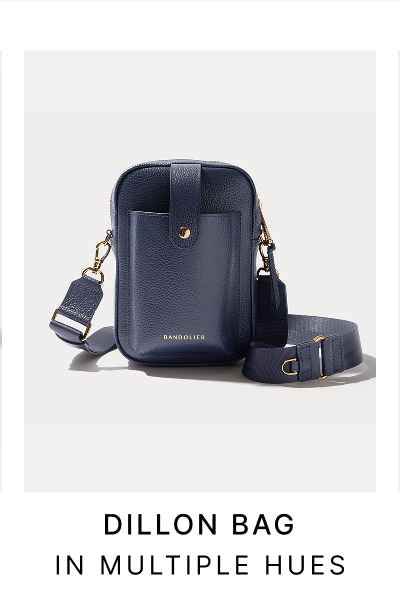 DILLON BAG IN MULTIPLE HUES