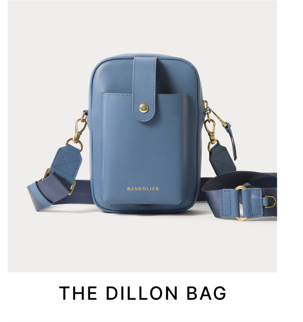 THE DILLON BAG