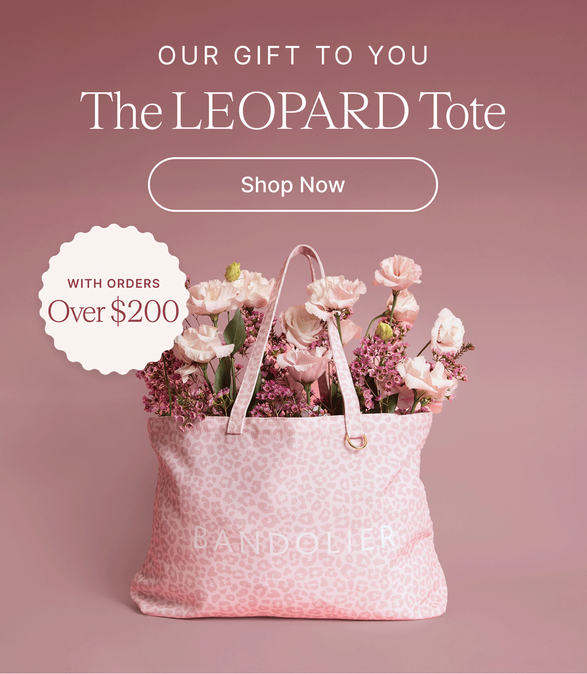 OUR GIFT TO YOU The LEOPOARD Tote Shop Now WITH ORDERS Over $200