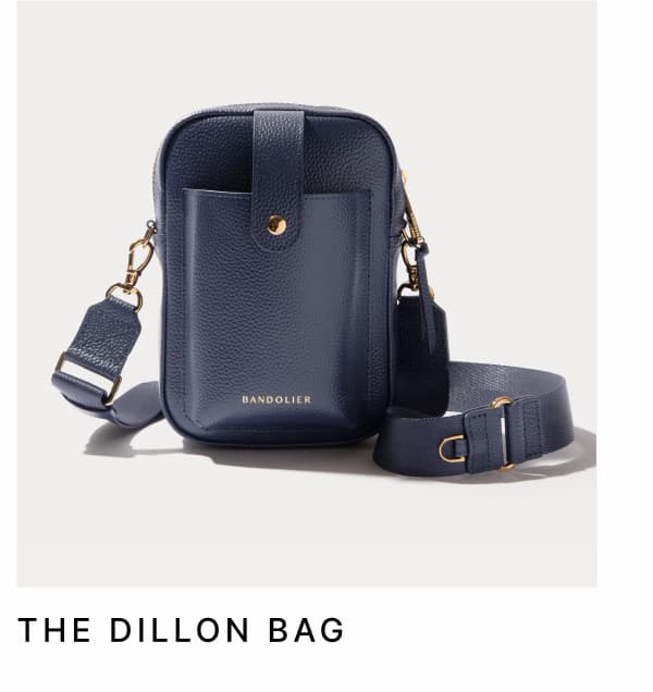 THE DILLON BAG