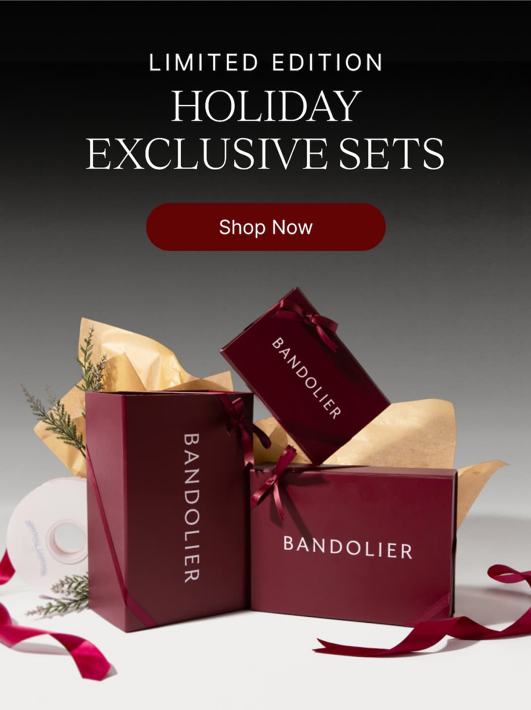 LIMITED EDITION HOLIDAY EXCLUSIVE SETS Shop Now