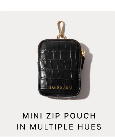 MINI ZIP POUCH IN MULTIPLE HUES