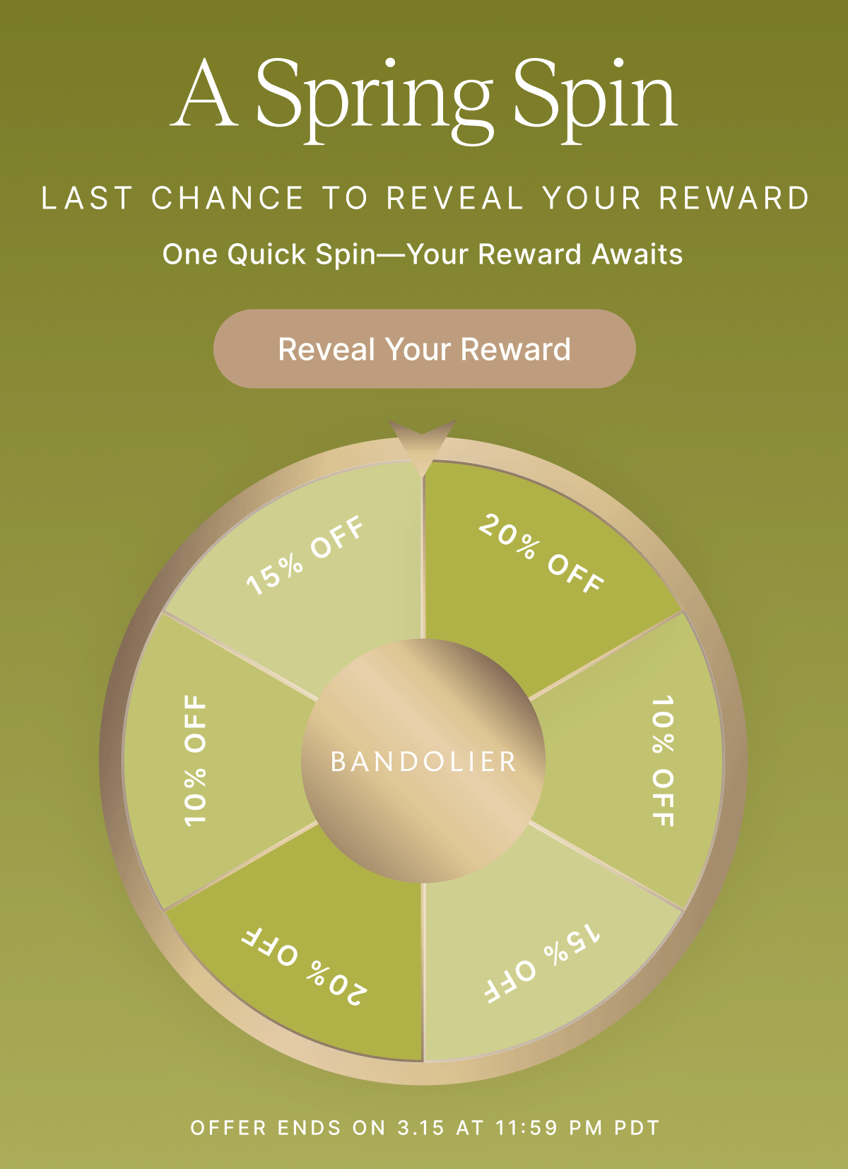A SPring Spin LAST CHANCE TO REVEAL YOUR REWARD One Quick Spin-Your Reward Awaits Reveal Your Reward