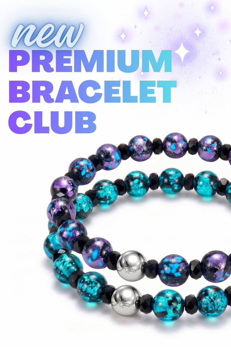 NOGU Bracelet Of The Month