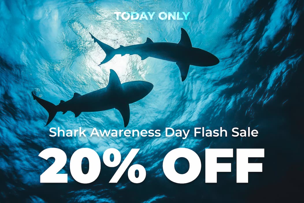 Shark Awareness