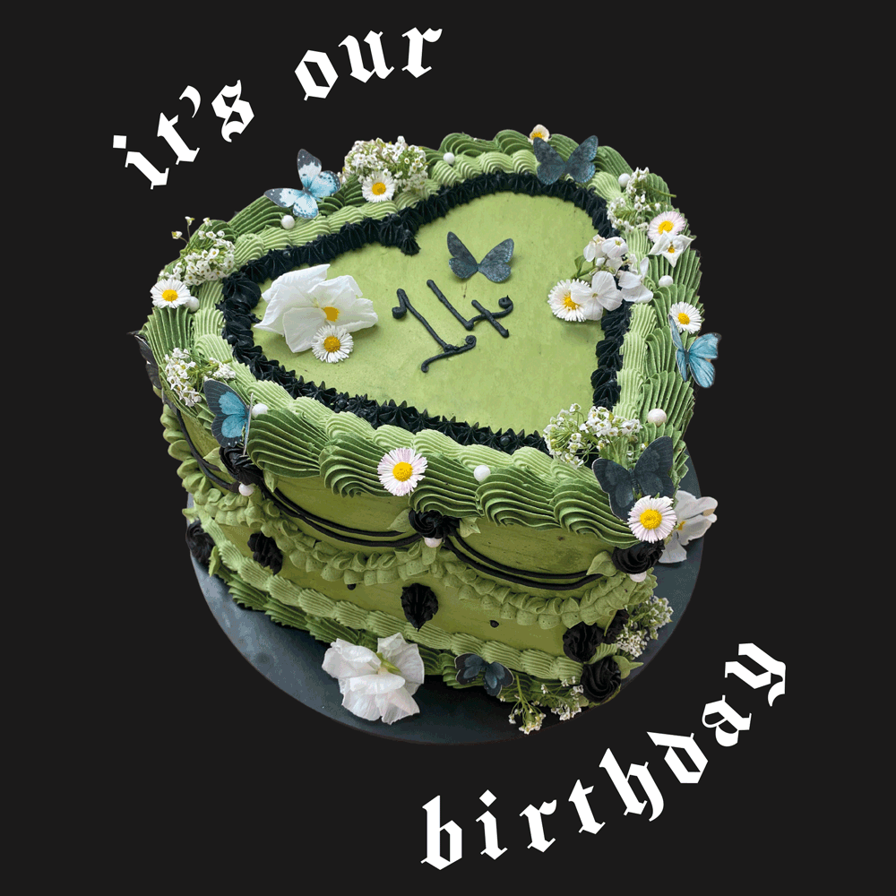 Party Like It's Our 🎂 Regal Rose