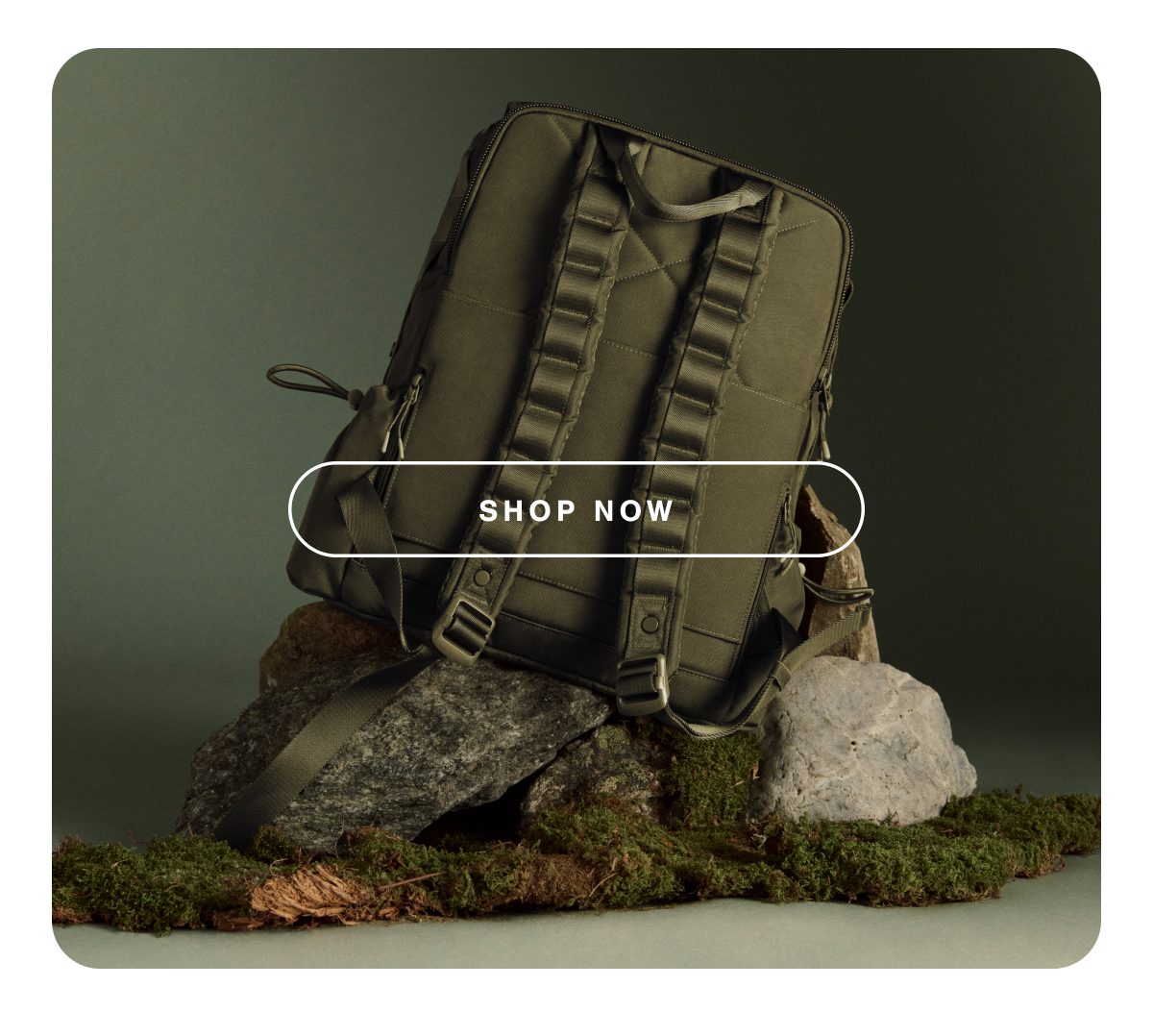 Shop Now.