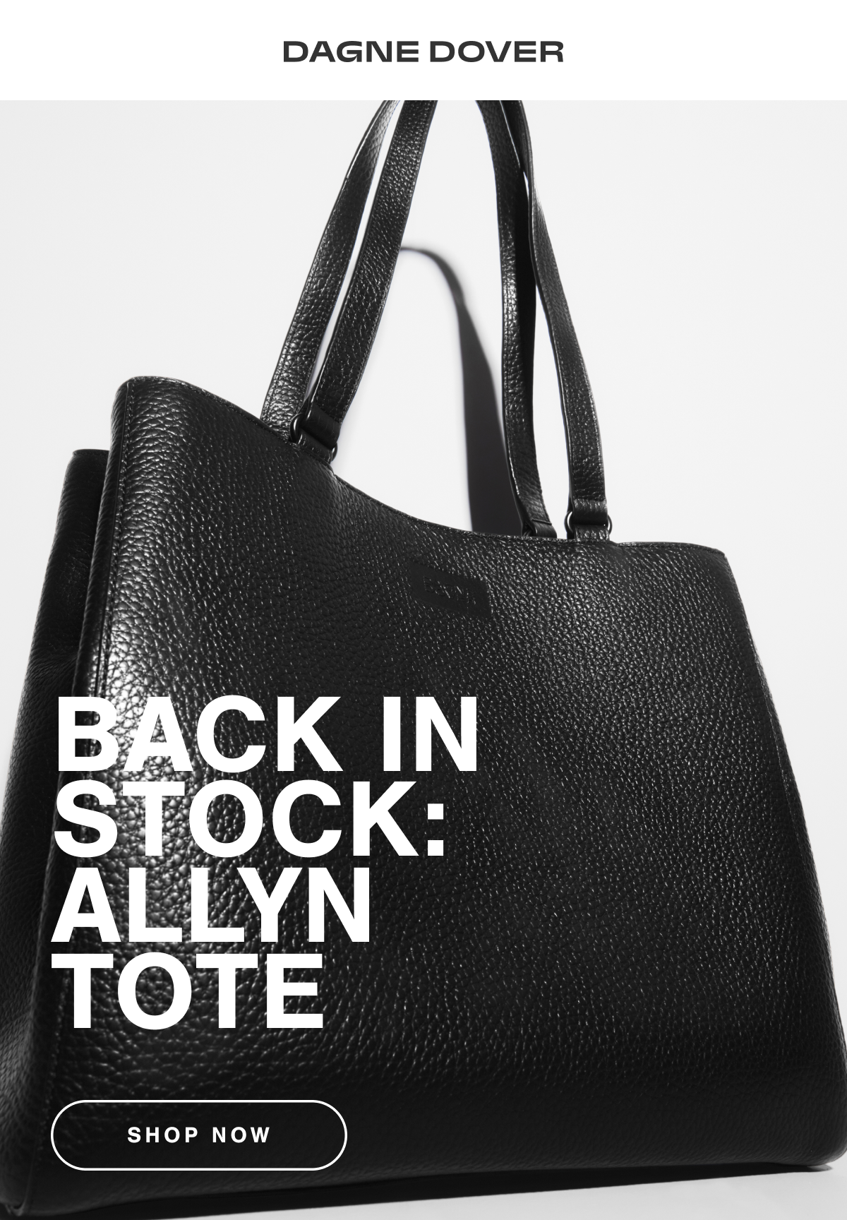 BACK IN STOCK: ALLYN TOTE