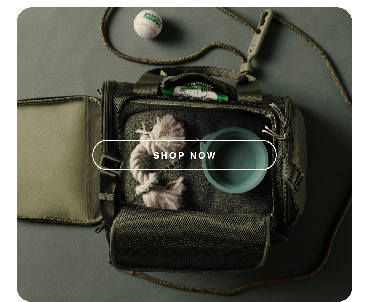 Shop Now.